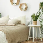 greener home post