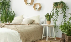 Read more about the article A greener home